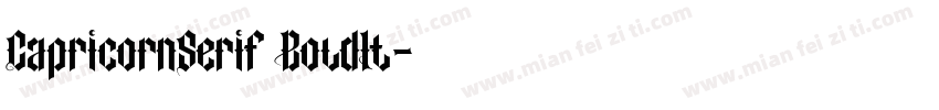 CapricornSerif BoldIt字体转换